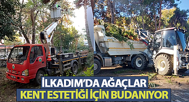 İlkadım’da Ağaçlar, Kent Estetiği İçin Budanıyor