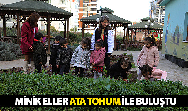 Minik Eller Ata Tohum İle Buluştu