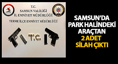 Samsun'da Park Halindeki Araçtan Ruhsatsız Silahlar Çıktı
