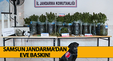 Samsun Jandarma'dan Eve Baskın! 