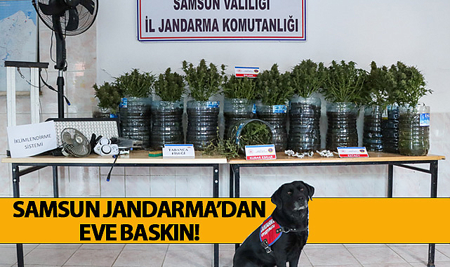 Samsun Jandarma'dan Eve Baskın!