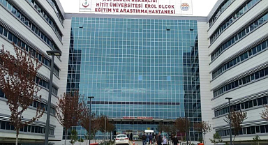 Başıboş Köpek Dehşeti: Üç Kişi Yaralandı