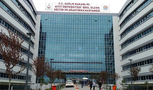 Başıboş Köpek Dehşeti: Üç Kişi Yaralandı