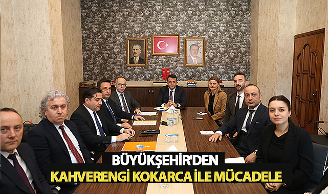 Büyükşehir'den Kahverengi Kokarca İle Mücadele