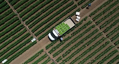 Tarıma 461 Milyon Lira Destek!