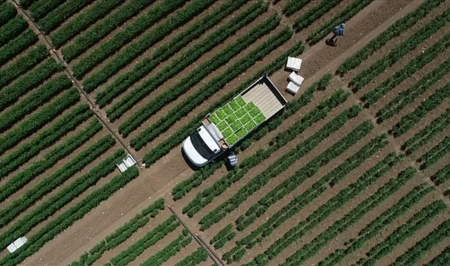 Tarıma 461 Milyon Lira Destek!