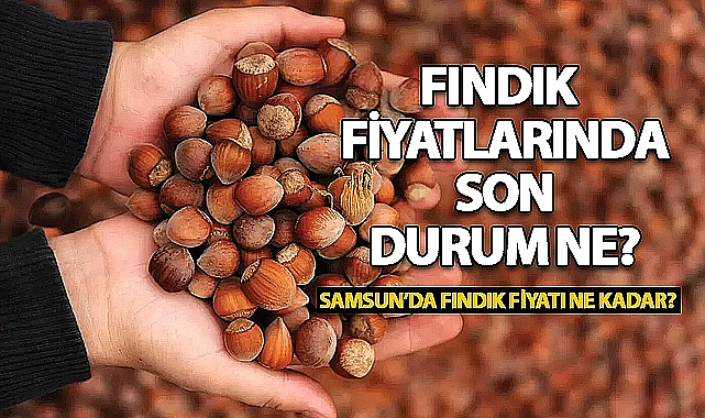 Samsun'da Fındık Fiyatlarında Son Durum! 7 Ocak 2025 Fındık Fiyatları