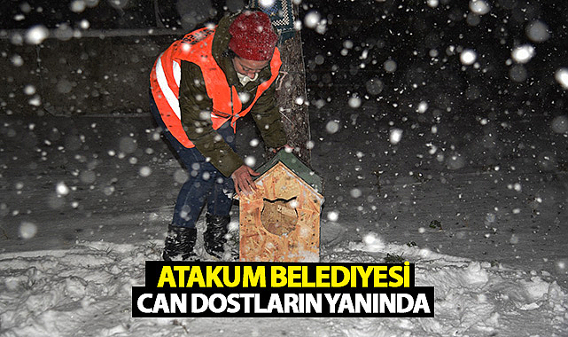 Atakum Belediyesi Can Dostların Yanında