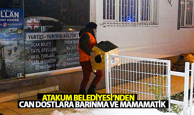 Atakum Belediyesi’nden Can Dostlara Barınma ve Mamamatik