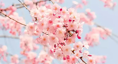 Bahar Yaklaşıyor: İkinci Cemre Suya Düştü