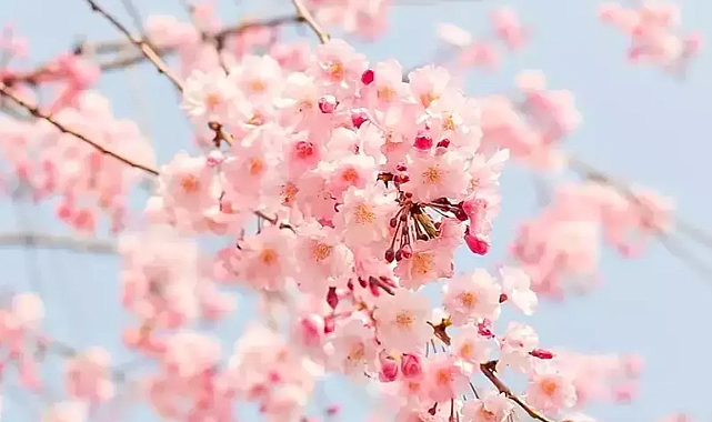 Bahar Yaklaşıyor: İkinci Cemre Suya Düştü