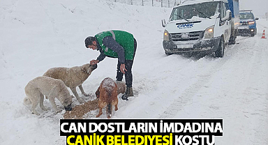 Can Dostların İmdadına Canik Belediyesi Koştu