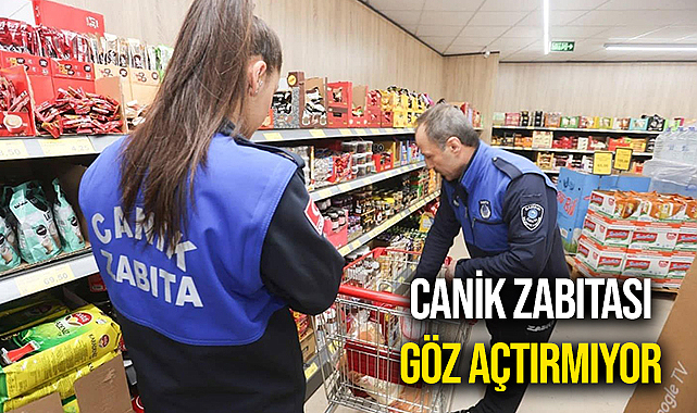 Canik Zabıtası Göz Açtırmıyor