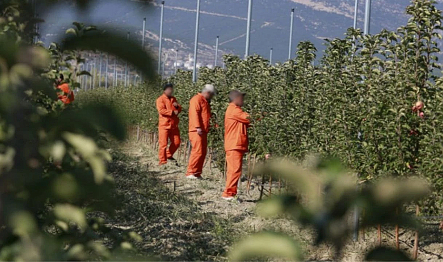 Ceza Evlerinde 200 Meslek Dalında Üretim Yapılıyor