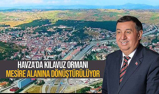 Havza'da Kılavuz Ormanı Mesire Alanına Dönüştürülüyor
