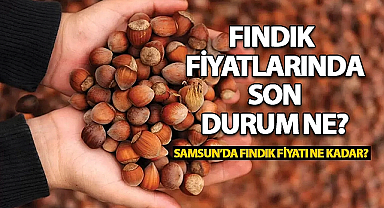 Samsun'da Fındık Fiyatlarında Son Durum! 1 Ocak 2025 Fındık Fiyatları