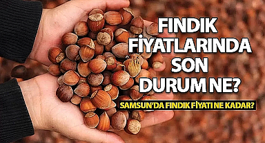 Samsun'da Fındık Fiyatlarında Son Durum! 21 Ocak 2025 Fındık Fiyatları
