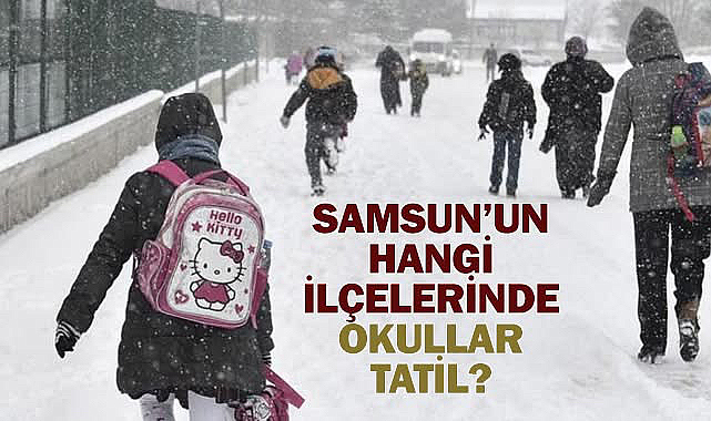Samsun'da Kar Tatili Olan İlçeler (Güncel)
