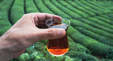 Türk çayı 1,2 milyon dolar kazandırdı