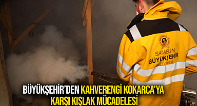 Büyükşehir’den Kahverengi Kokarca’ya Karşı Kışlak Mücadelesi