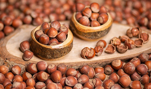 Fındık ihracatında rekor gelir: 1,5 milyar dolar aşıldı