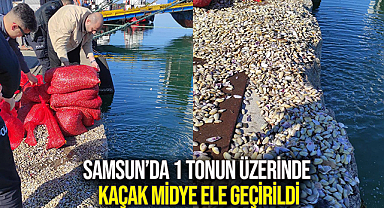 Samsun’da 1 Tonun Üzerinde Kaçak Midye Ele Geçirildi