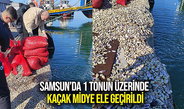 Samsun’da 1 Tonun Üzerinde Kaçak Midye Ele Geçirildi