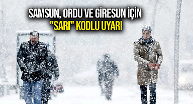 Samsun, Ordu ve Giresun İçin 