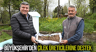 Büyükşehir’den Çilek Üreticilerine Destek