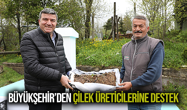 Büyükşehir’den Çilek Üreticilerine Destek