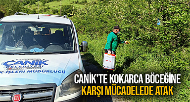 Canik'te Kokarca Böceğine Karşı Mücadelede Atak 