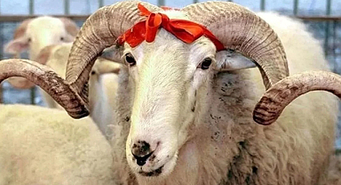 Kurban Bayramı tatili kaç gün? Kamuya idari izin açıklaması