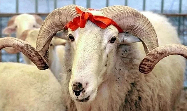 Kurban Bayramı tatili kaç gün? Kamuya idari izin açıklaması