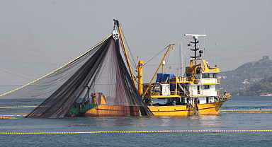 Doğu Karadeniz'in su ürünleri ihracatı 5 ayda 69,8 milyon doları aştı