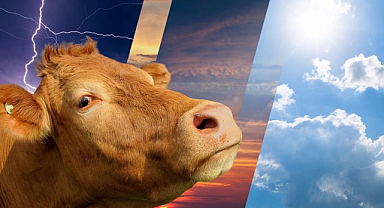 Kurban Bayramı'nda hava durumu nasıl olacak?