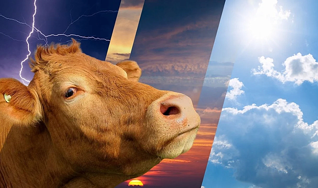 Kurban Bayramı'nda hava durumu nasıl olacak?