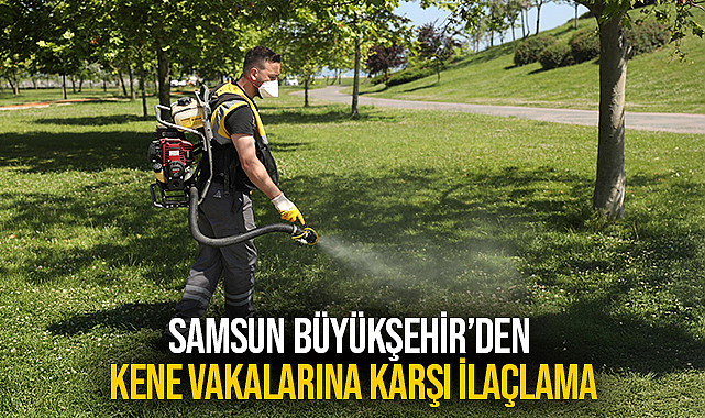 Samsun Büyükşehir’den Kene Vakalarına Karşı İlaçlama