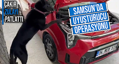 Samsun’da Uyuşturucu Operasyonu! Çakır Zulayı Paylattı