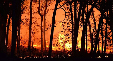 Son 2 günde 111 yangın