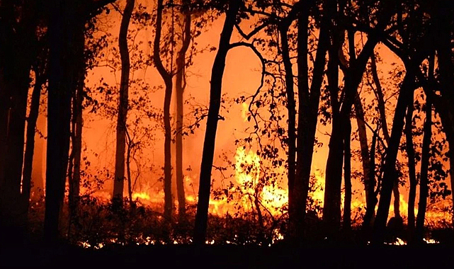 Son 2 günde 111 yangın