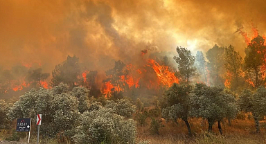 12 ilde 65 orman yangını: 44 gözaltı, 10 tutuklama