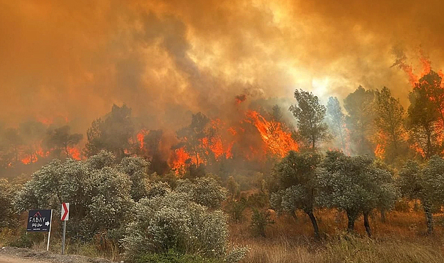 12 ilde 65 orman yangını: 44 gözaltı, 10 tutuklama