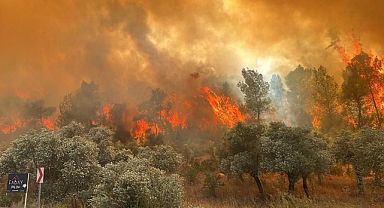 5 İlde Orman Yangınlarıyla Mücadele Sürüyor