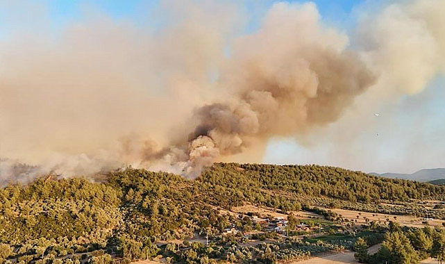 Amasya’da Otluk Alanda Başlayan Yangın Ormana Sıçradı: 20 Dönüm Alan Küle Döndü