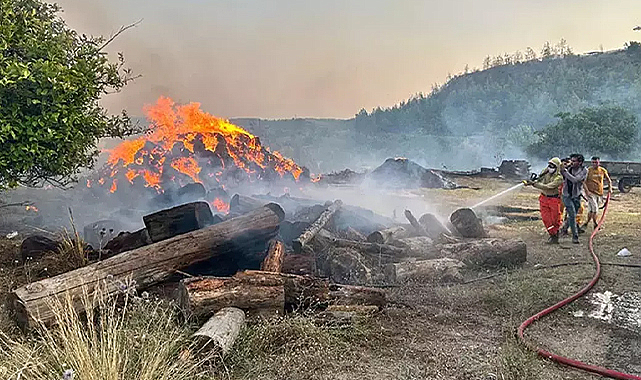 Antalya Aksu’da Orman Yangını: Müdahale Sürüyor