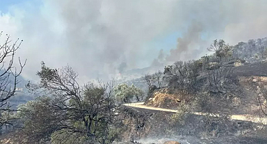 Aydın Efeler'de Orman Yangını!