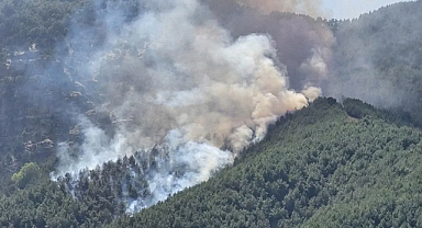 Balıkesir’deki Orman Yangını Kontrol Altına Alındı
