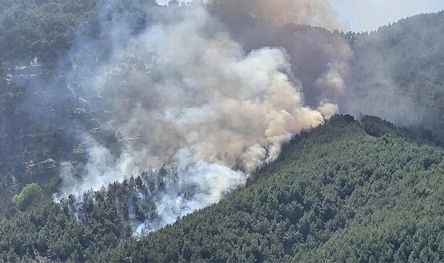 Balıkesir’deki Orman Yangını Kontrol Altına Alındı