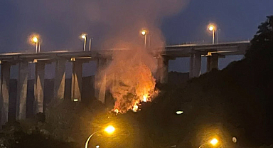 Beykoz'daki Orman Yangınıyla İlgili 1 Kişi Tutuklandı