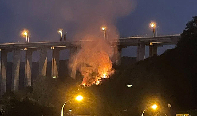 Beykoz'daki Orman Yangınıyla İlgili 1 Kişi Tutuklandı